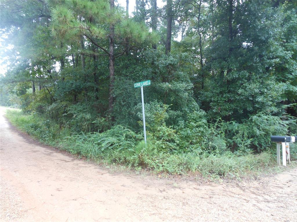 TBD Cove Lake Drive - Photo 1