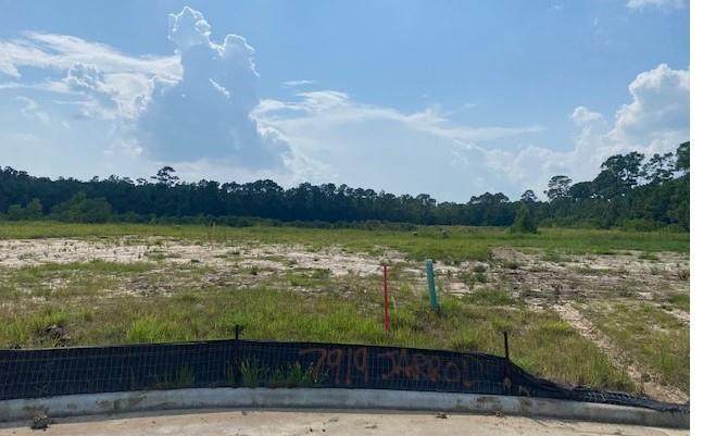 7919 Jarrod Way - Photo 1