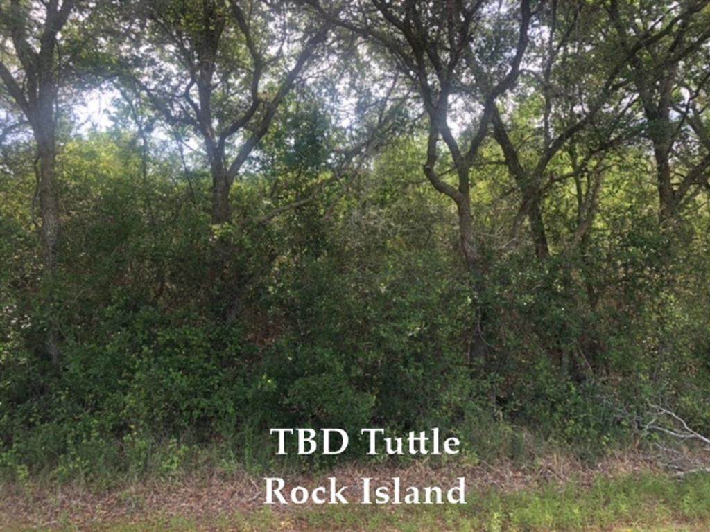 TBD Tuttle - Photo 1