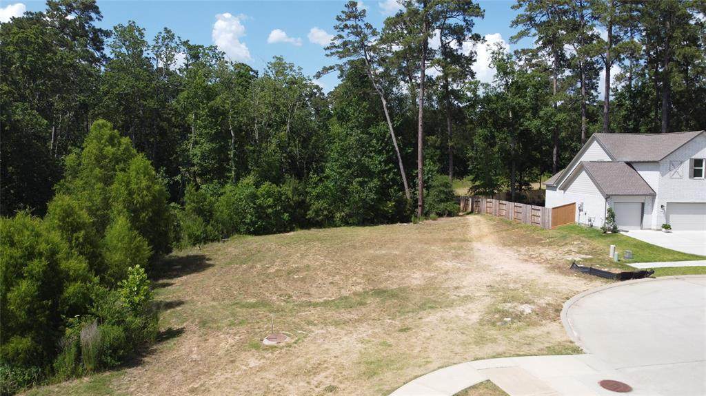 301 Black Walnut Court - Photo 1