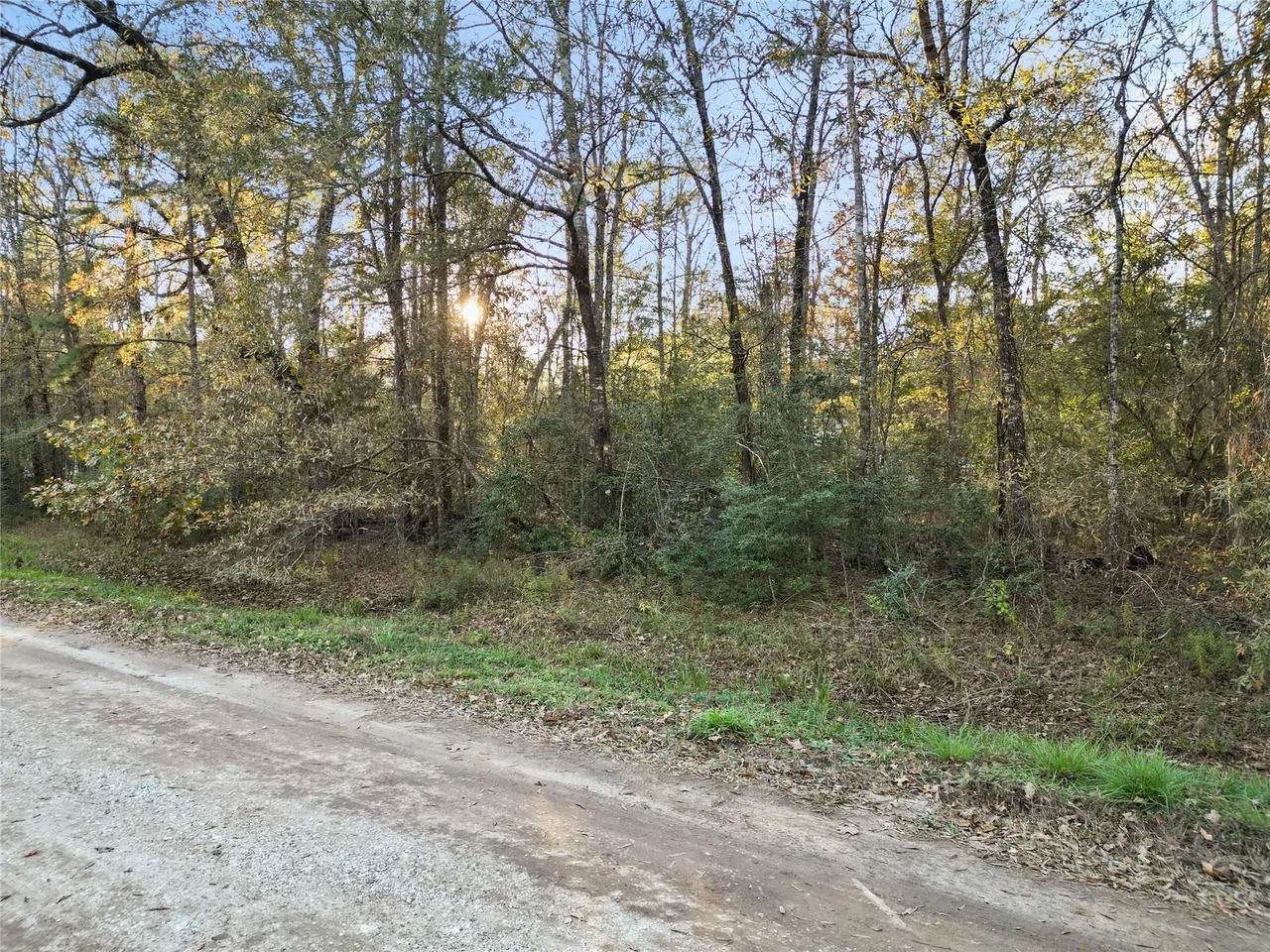 0 Somerset - Photo 1