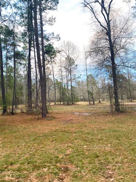 0 Ponderosa - Photo 1