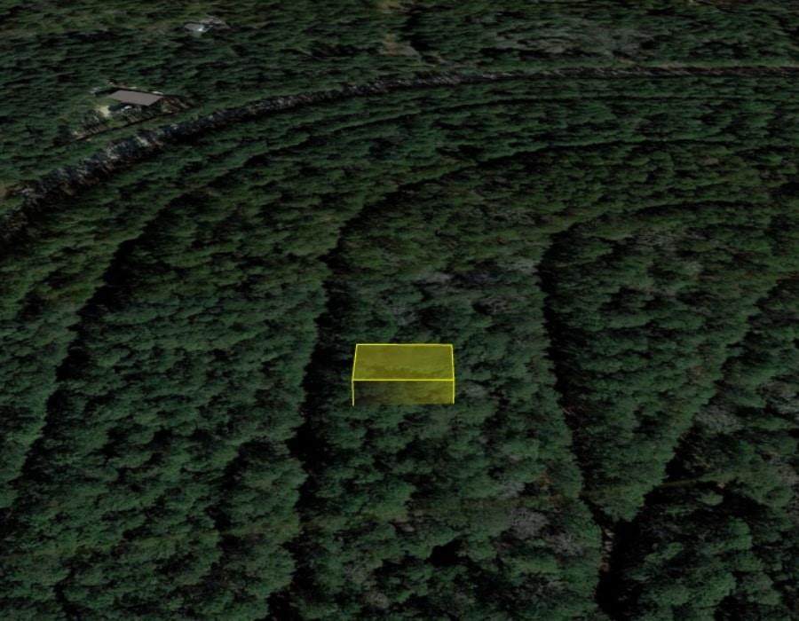 0000 White Feather Circle - Photo 1