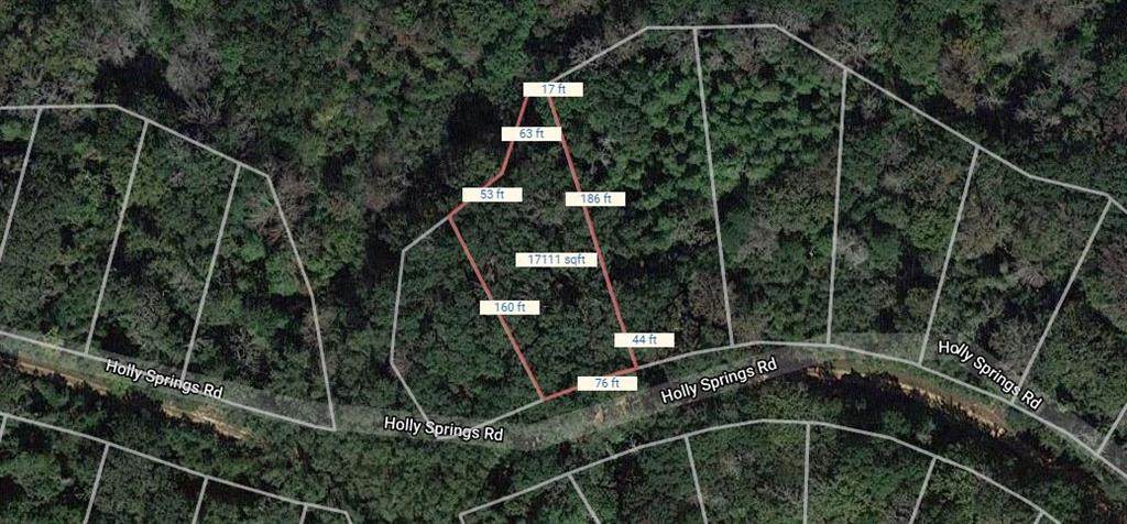 Lot 12 Holly Springs Drive - Photo 1
