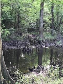 7198 Old Honey Island Road - Photo 1