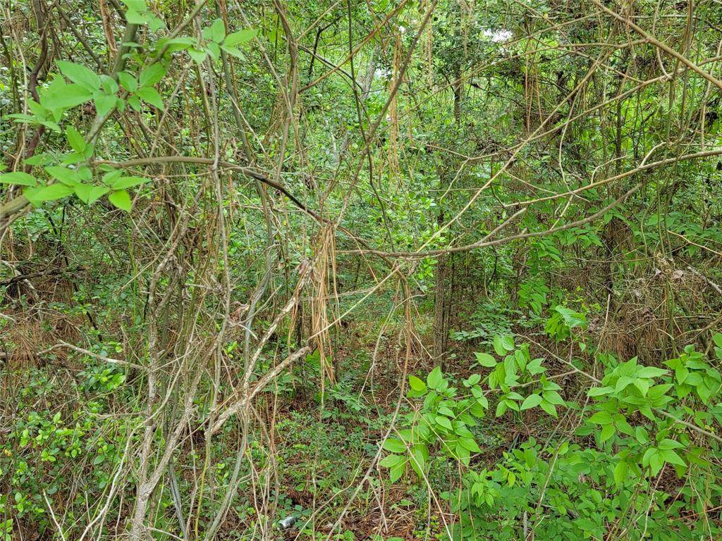 00 Red Clover - Photo 1