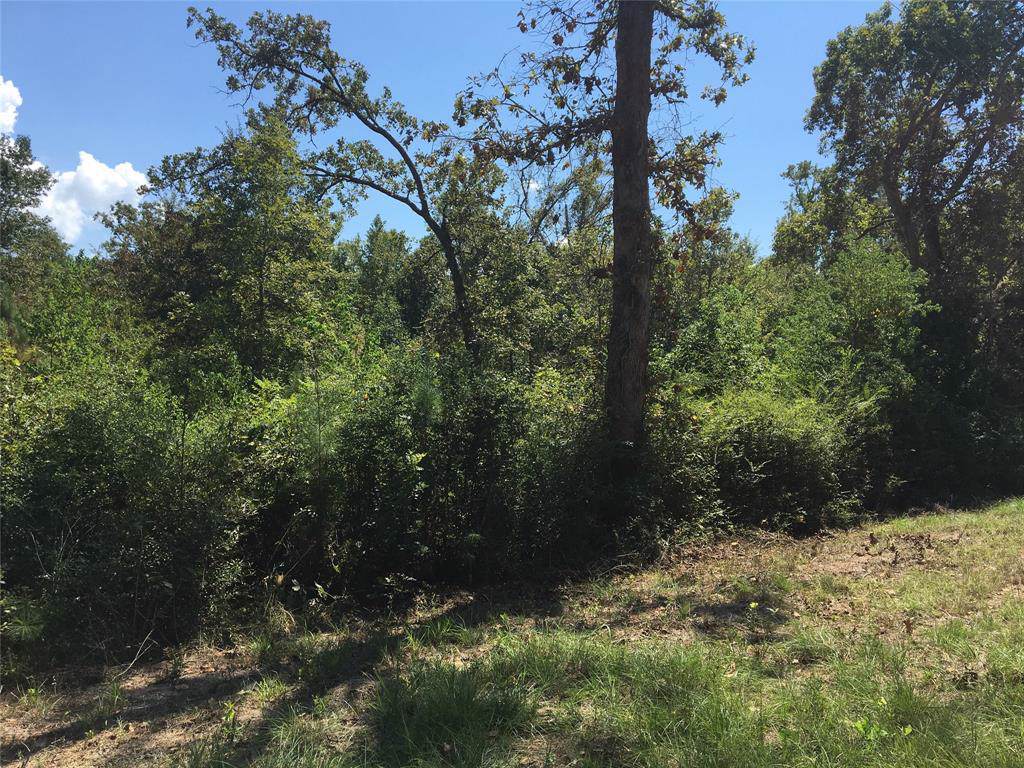 496 Onalaska East Drive - Photo 1