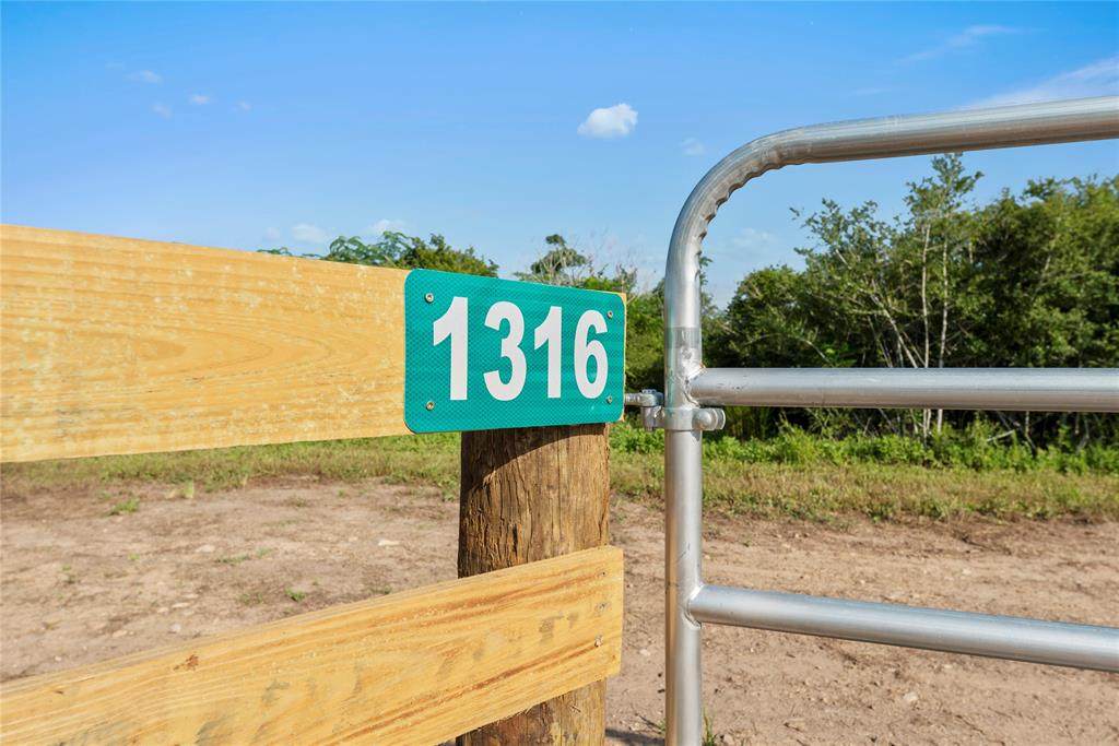 1316 Piney Woods Road - Photo 1