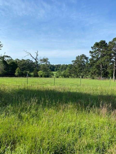 Lot 1 Cedar Lane Loop - Photo 1