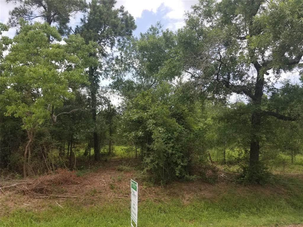 0 Baywood Street - Photo 1
