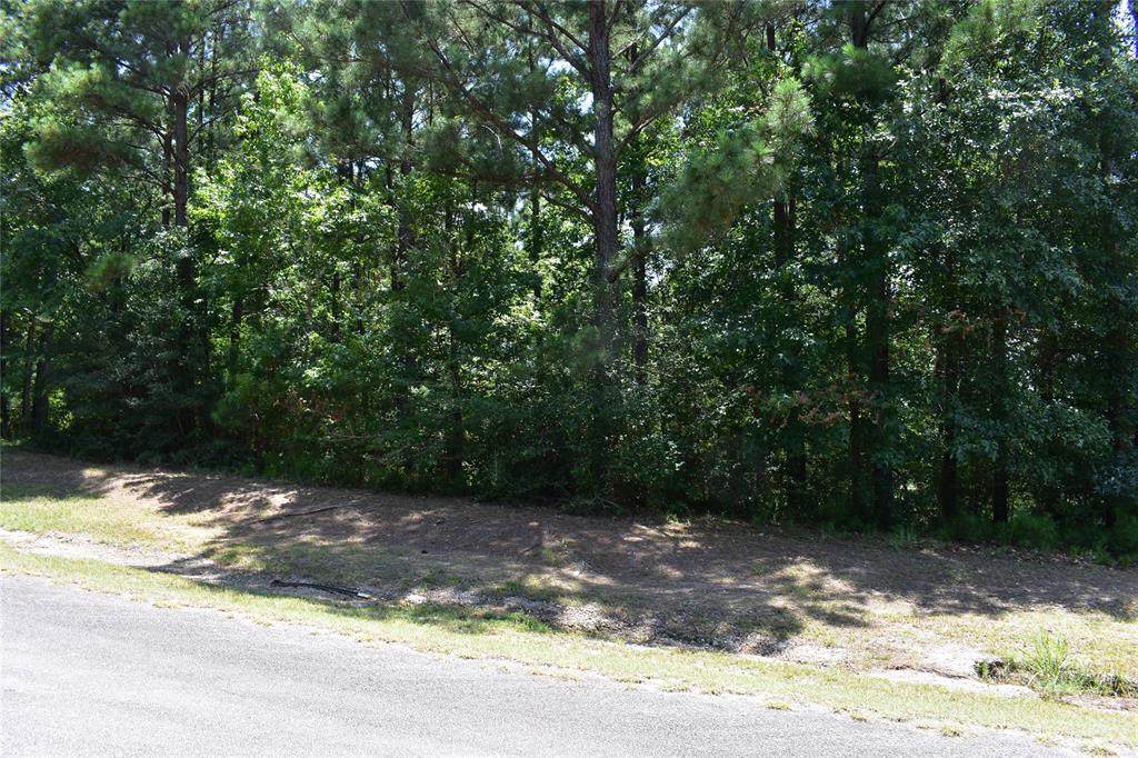 10 Forest Drive - Photo 1