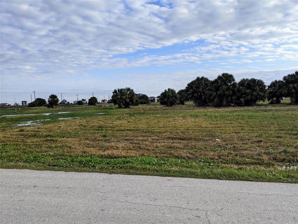 22807 Cuadro - Photo 1