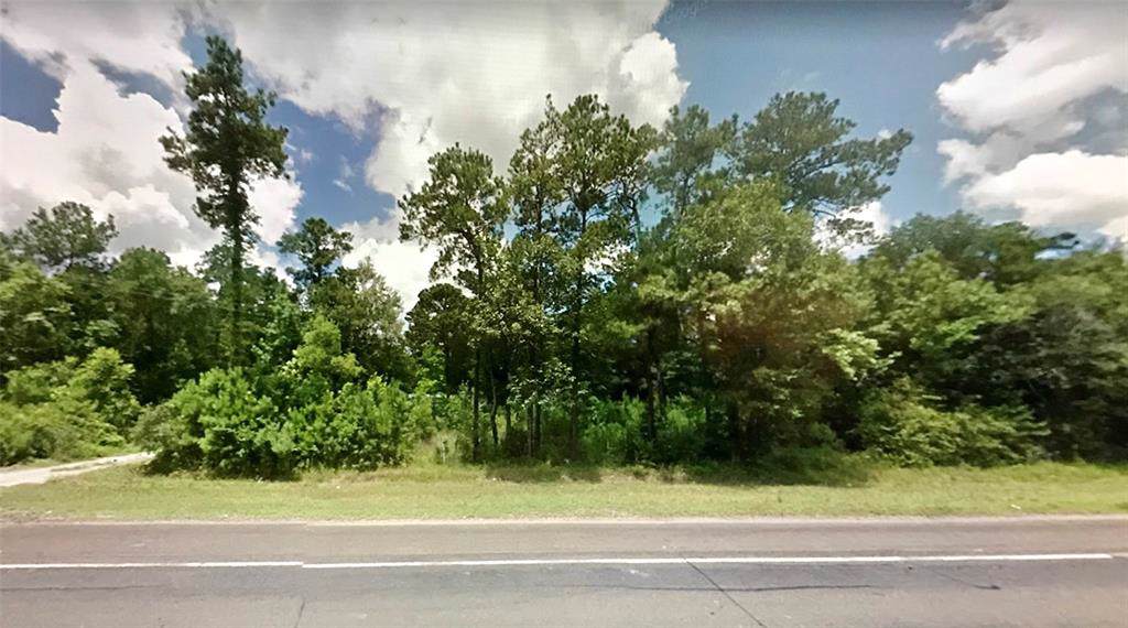 0000 Hwy 87 Lot H - Photo 1