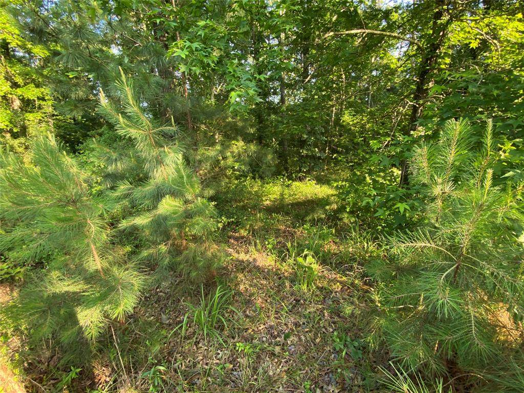 TBD Leaning Oak Drive - Photo 1