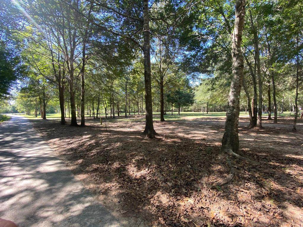 17101 Dutch Rd - Photo 1