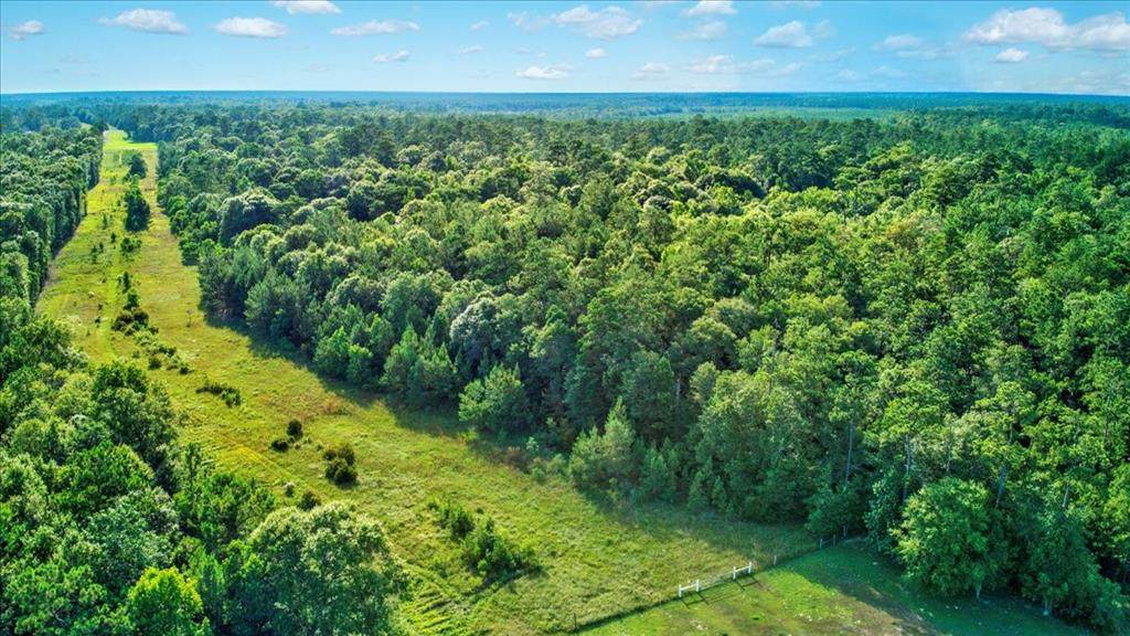 25995 Farm Road 770 - Photo 1