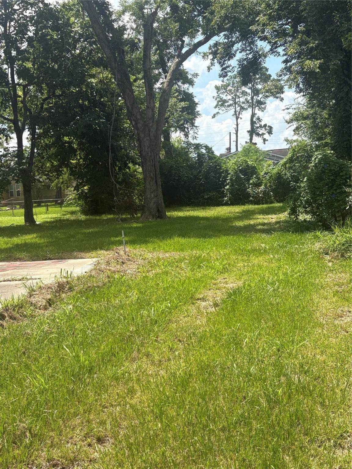 2031 Delaware Street - Photo 1