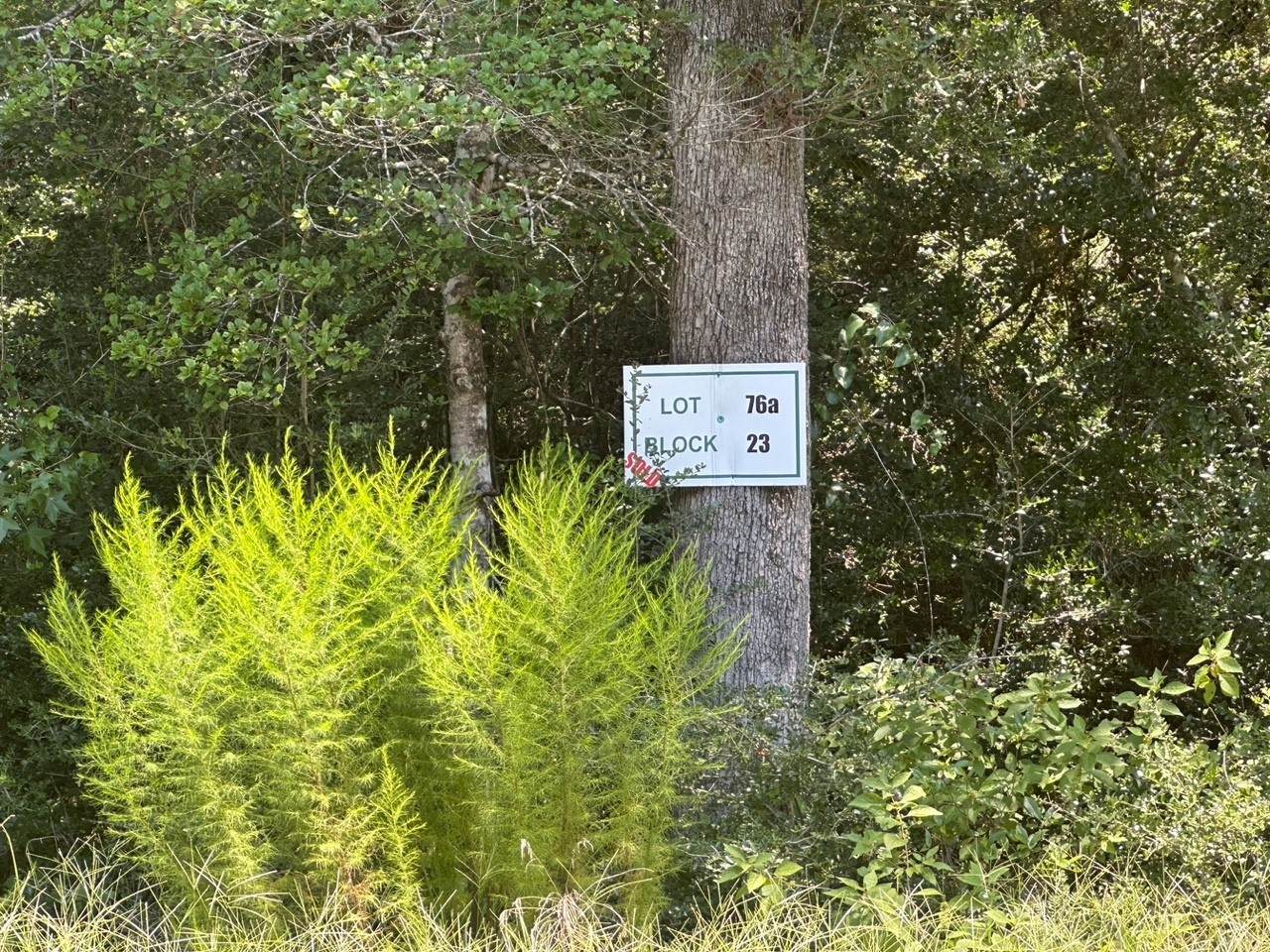 https://bt-photos.global.ssl.fastly.net/harmls/1280_boomver_1_84801810-2.jpg