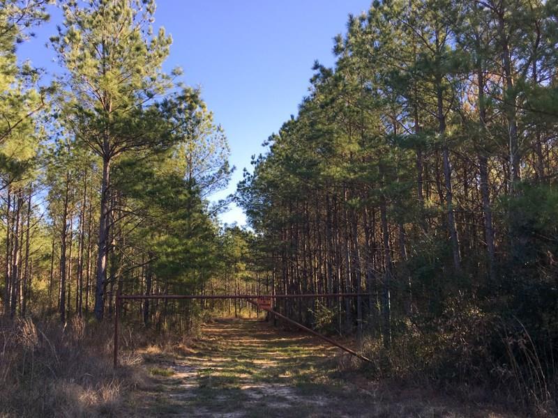 00 Ray Marsh Road - Photo 1