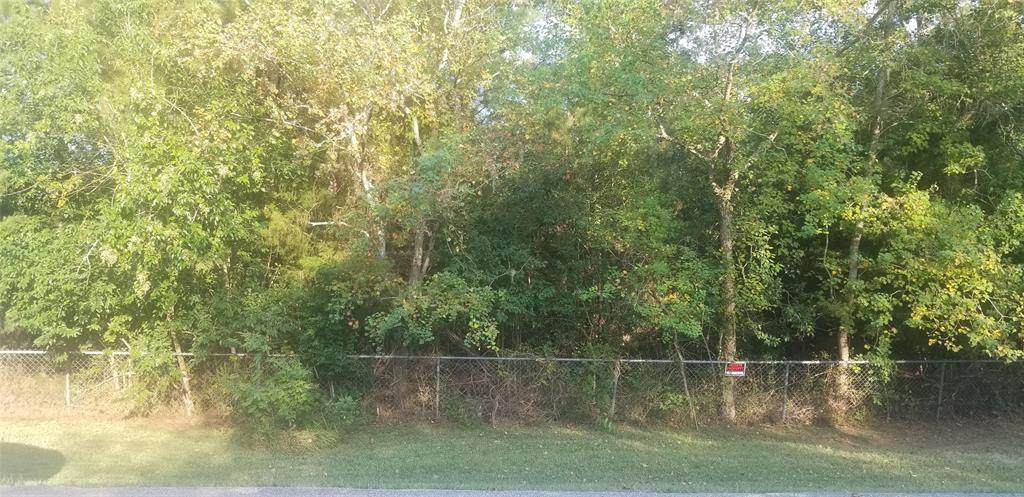 22602 West Shorewood Loop - Photo 1