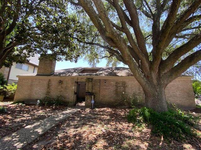 10822 Bob White Drive - Photo 1