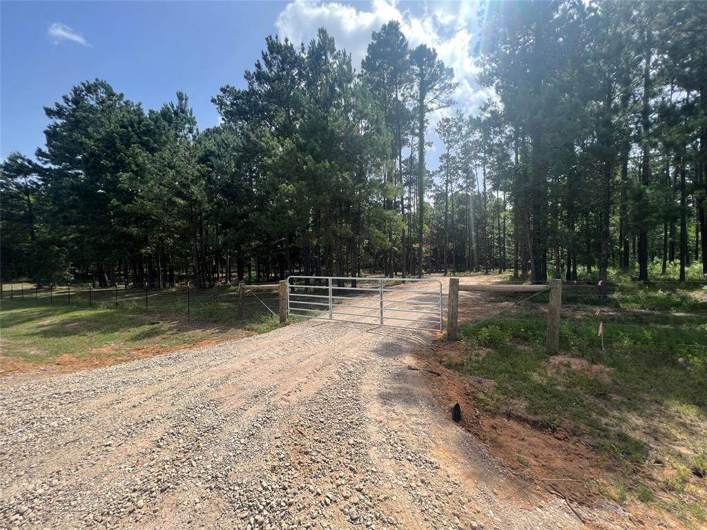 Lot 1 C Winters Ranch Rd - Photo 1
