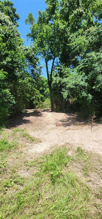 Lot 29 Oak Knoll - Photo 1