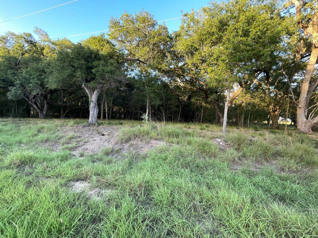1143 Bronco Trail - Photo 1