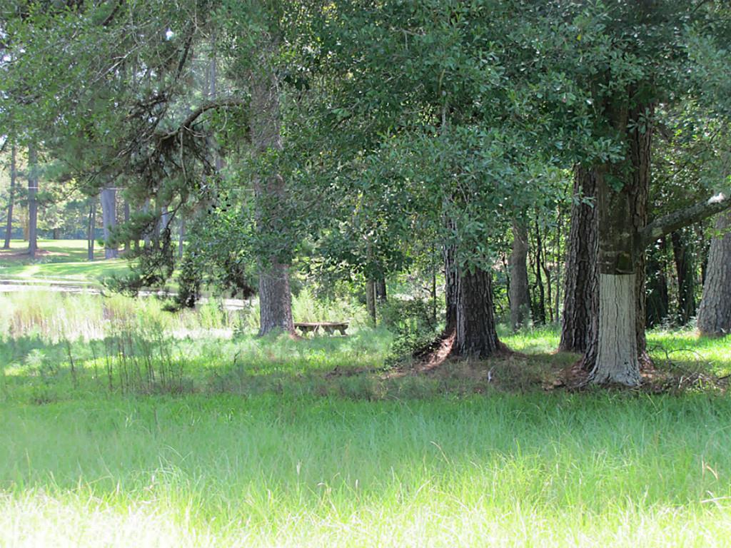 0 Sugar Bend - Photo 1