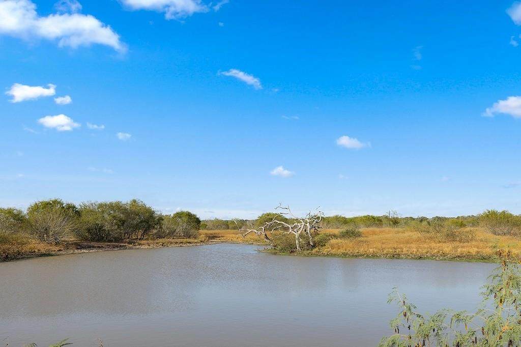 Tract 1 Lobo Lane - Photo 1