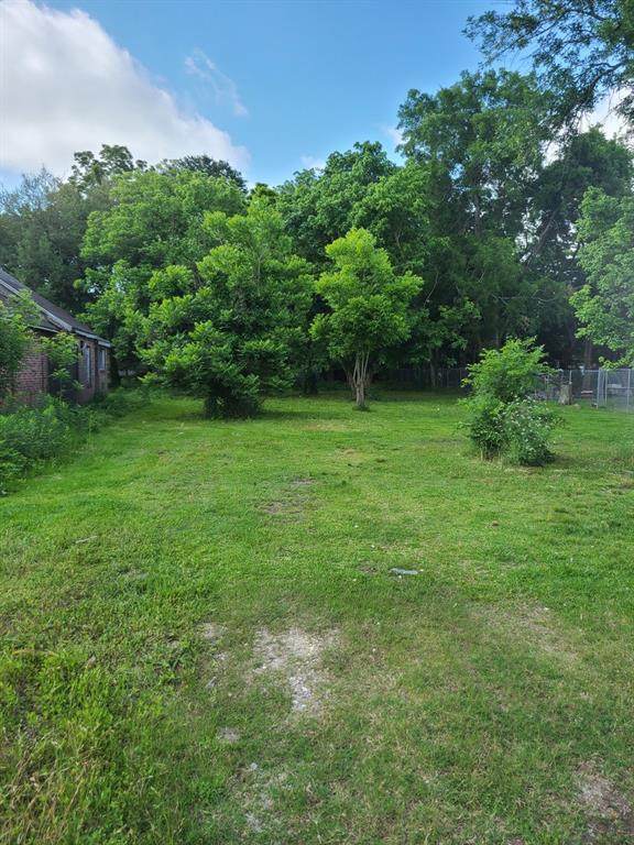 5116 Denmark Street - Photo 1