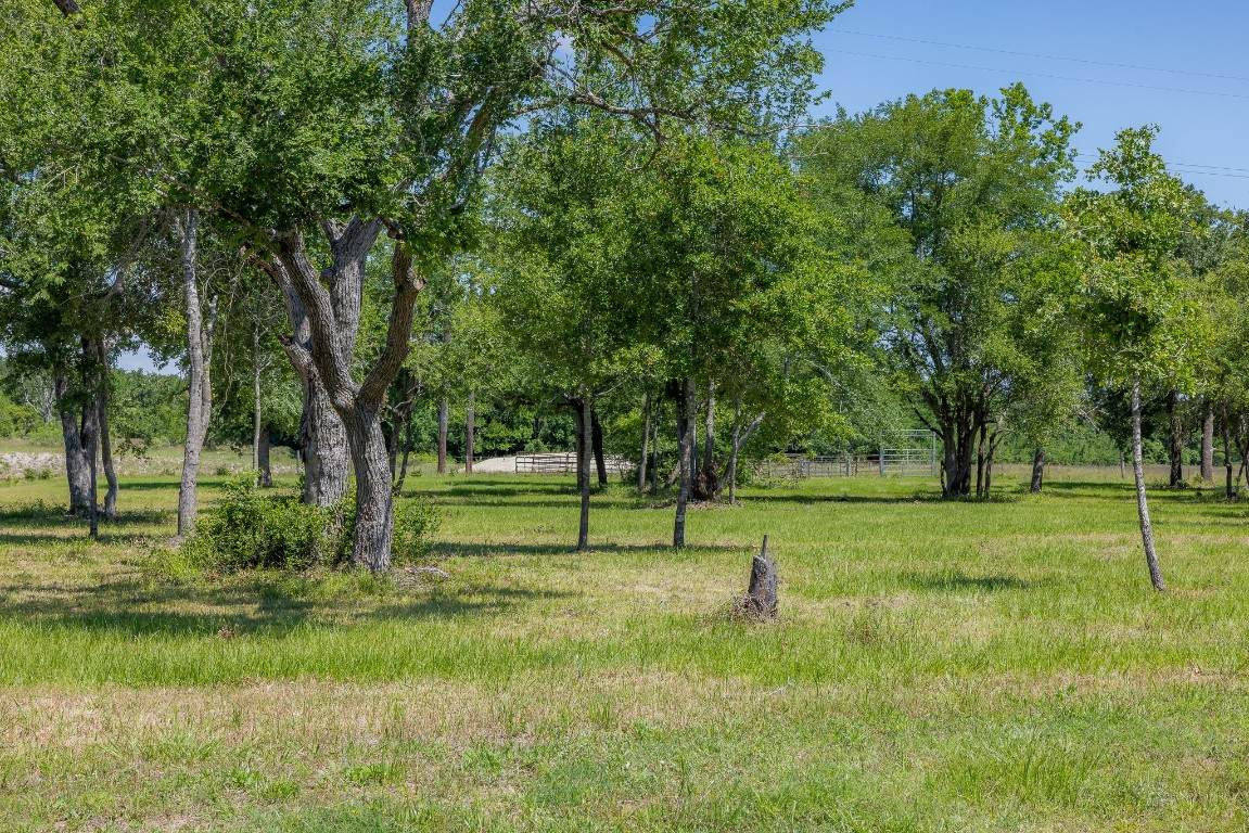 6681 Atakapan Trail - Photo 1