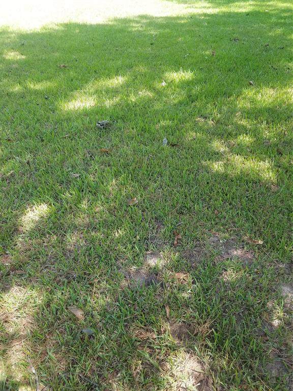20999 Oak Ridge Drive - Photo 1