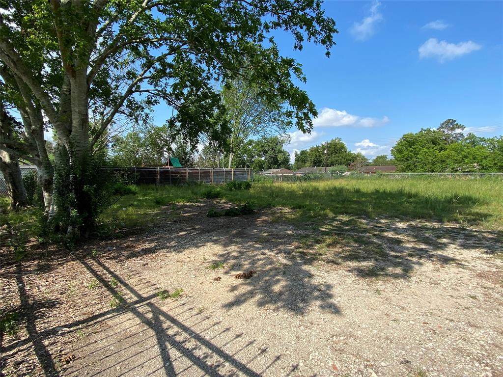 10622 Anna Held Street - Photo 1