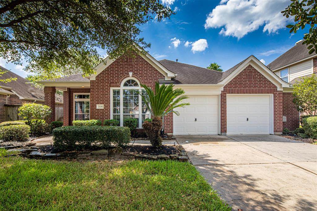 7539 Opal Hill Lane - Photo 1