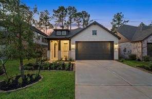 707 Lacebark Elm Trail - Photo 1