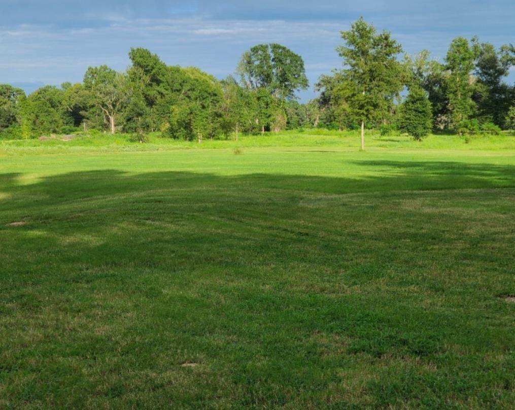 1167 County Road 2125 - Photo 1