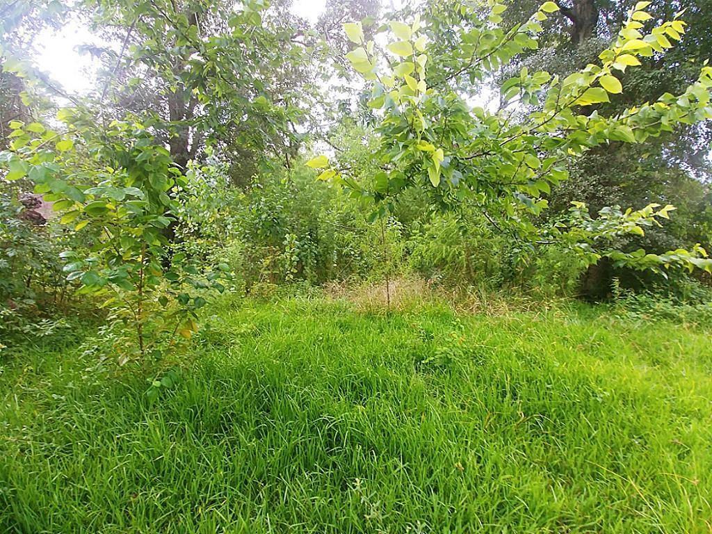 0 Wilburforce Street - Photo 1