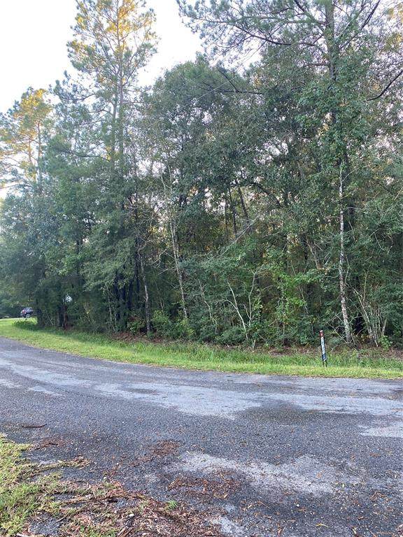 000 Ellis Drive - Photo 1