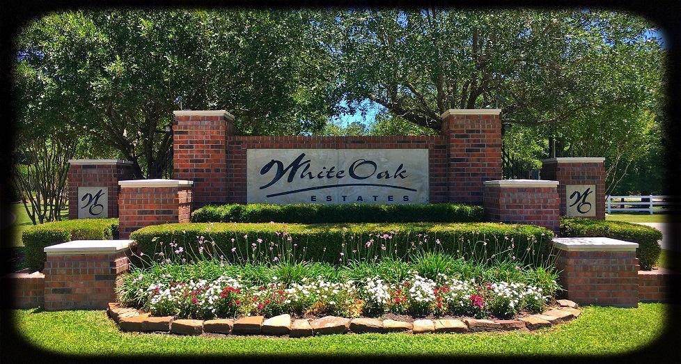 11867 White Oak Pass - Photo 1