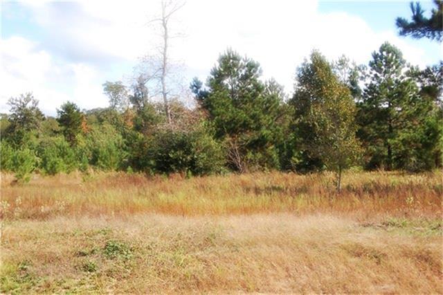4514 Duck Creek Road - Photo 1