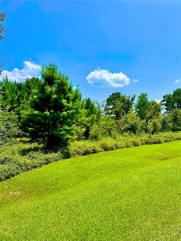 0 Meadowbrook Lane - Photo 1