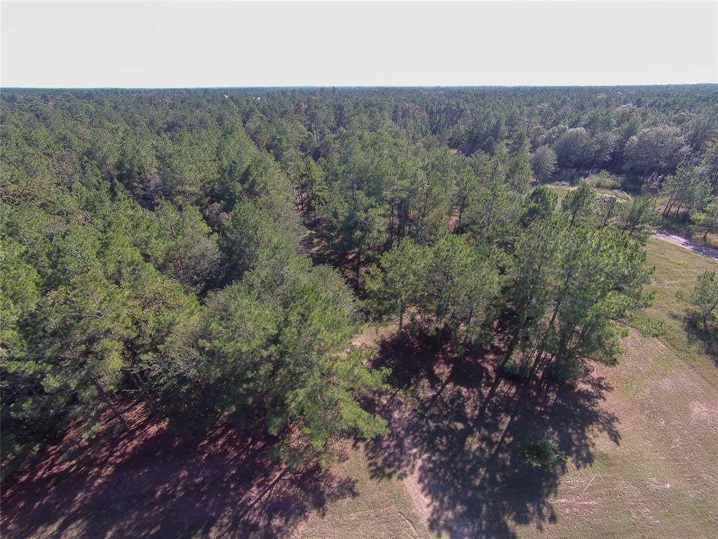 17716 Terrace Oaks Drive - Photo 1