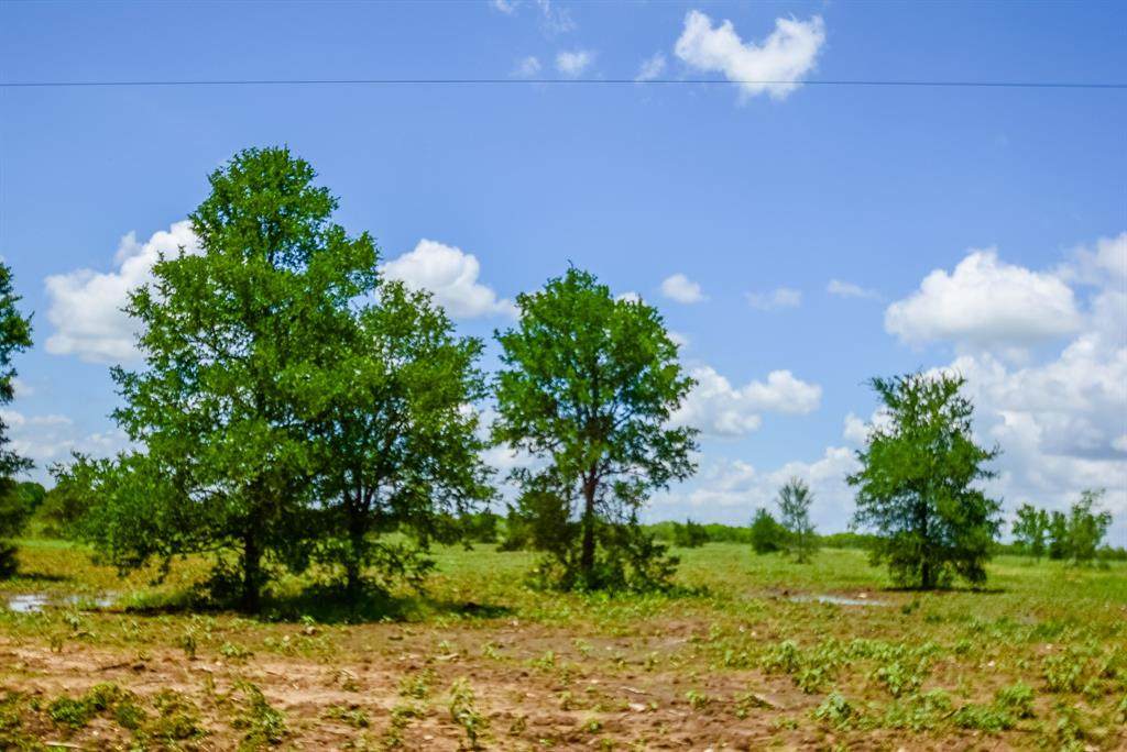007 County Road 451 - Photo 1