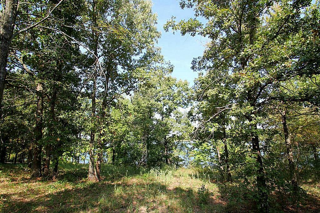 Lot 2 Private Road 5292 - Photo 1
