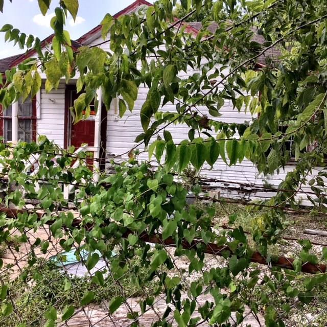 7802 Mclean - Photo 1