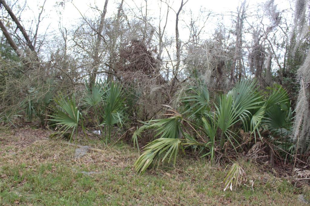LOT 2 Highland Shores Road - Photo 1