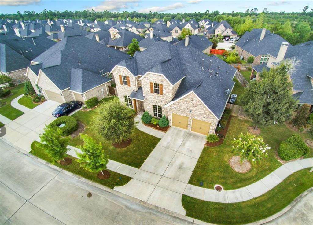 8106 Threadtail Street - Photo 1