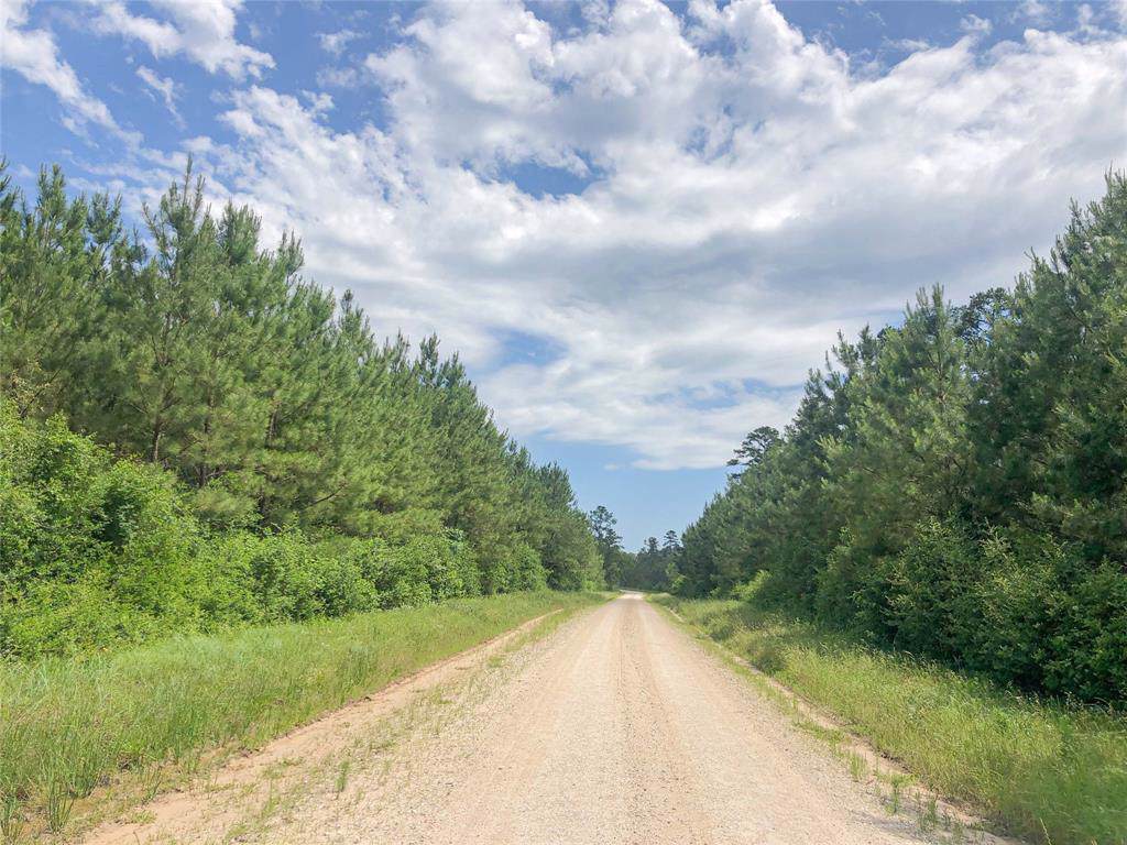 00000 Lost Indian Camp Road - Photo 1