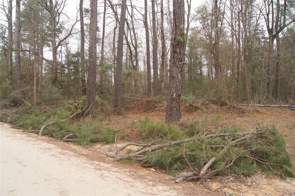 0 County Line Road - Photo 1